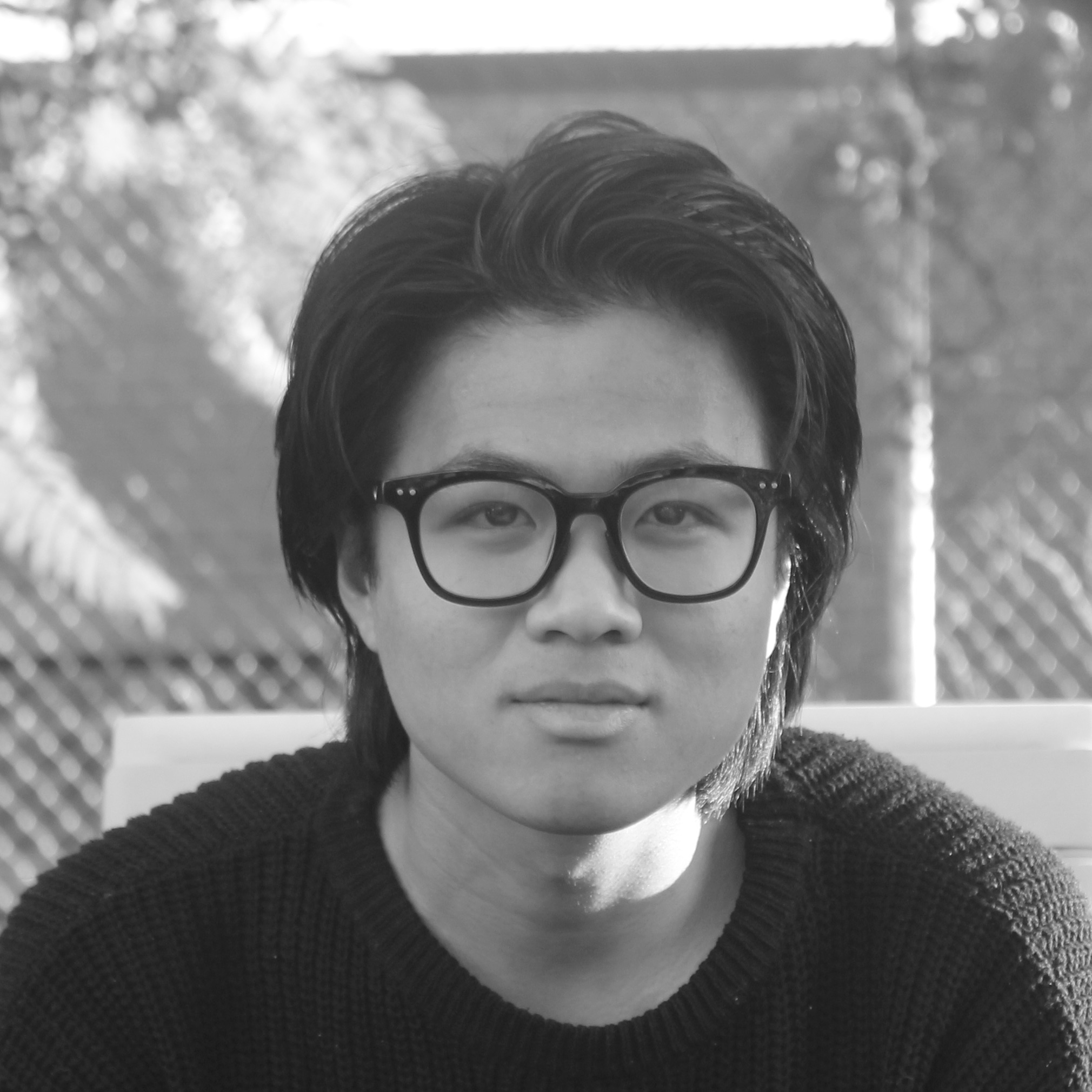 Nguyen Hoang Long